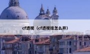 cf透视（cf透视挂怎么开）