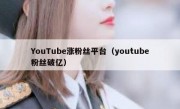 YouTube涨粉丝平台（youtube粉丝破亿）