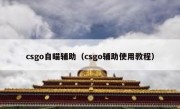 csgo自瞄辅助（csgo辅助使用教程）