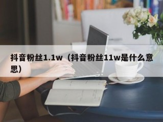 抖音粉丝1.1w（抖音粉丝11w是什么意思）