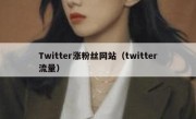 Twitter涨粉丝网站（twitter流量）