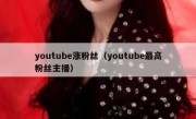 youtube涨粉丝（youtube最高粉丝主播）