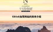 tiktok加赞网站的简单介绍