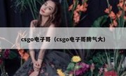 csgo电子哥（csgo电子哥脾气大）