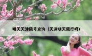 明天天津限号查询（天津明天限行吗）