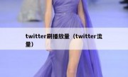 twitter刷播放量（twitter流量）