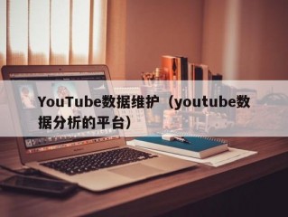 YouTube数据维护（youtube数据分析的平台）