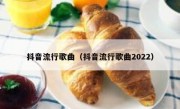 抖音流行歌曲（抖音流行歌曲2022）