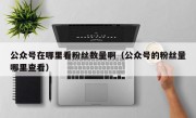 公众号在哪里看粉丝数量啊（公众号的粉丝量哪里查看）