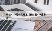 粉丝1.3k是什么意思（粉丝量13k是多少）