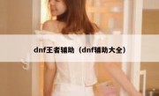 dnf王者辅助（dnf辅助大全）