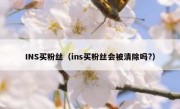 INS买粉丝（ins买粉丝会被清除吗?）