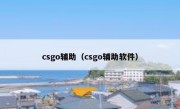 csgo辅助（csgo辅助软件）