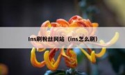 Ins刷粉丝网站（ins怎么刷）