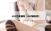 dnf王者辅助（dnf辅助吧）