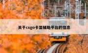 关于csgo卡盟辅助平台的信息