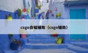 csgo自瞄辅助（csgo辅助）