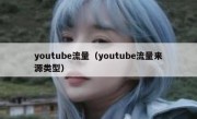 youtube流量（youtube流量来源类型）