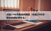 抖音1700万粉丝的网红（抖音1700万粉丝的网红叫什么）