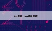 ins电商（ins跨境电商）