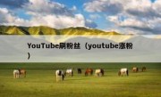 YouTube刷粉丝（youtube涨粉）