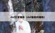 dnf王者辅助（dnf最稳的辅助）