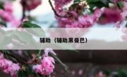 辅助（辅助黑曼巴）