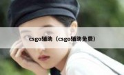 csgo辅助（csgo辅助免费）