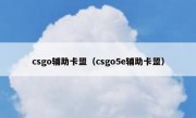 csgo辅助卡盟（csgo5e辅助卡盟）