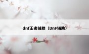 dnf王者辅助（DnF辅助）