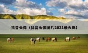 抖音头像（抖音头像图片2021最火爆）