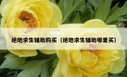 绝地求生辅助购买（绝地求生辅助哪里买）