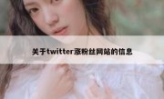 关于twitter涨粉丝网站的信息