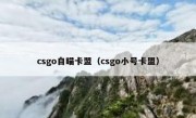 csgo自瞄卡盟（csgo小号卡盟）