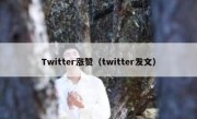 Twitter涨赞（twitter发文）