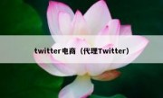 twitter电商（代理Twitter）