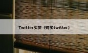 Twitter买赞（购买twitter）