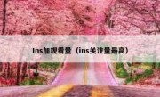 Ins加观看量（ins关注量最高）