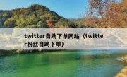 twitter自助下单网站（twitter粉丝自助下单）