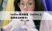 twitter刷观看量（twitter上值得关注的账号）