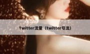 Twitter流量（twitter引流）