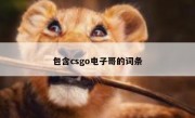 包含csgo电子哥的词条