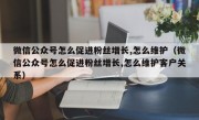 微信公众号怎么促进粉丝增长,怎么维护（微信公众号怎么促进粉丝增长,怎么维护客户关系）