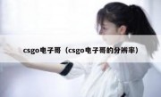 csgo电子哥（csgo电子哥的分辨率）