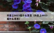 抖音上8023是什么意思（抖音上8013是什么意思）