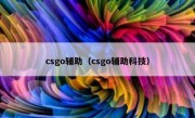 csgo辅助（csgo辅助科技）