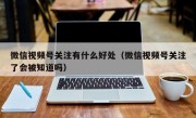 微信视频号关注有什么好处（微信视频号关注了会被知道吗）