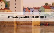 关于Instagram自助下单网站的信息