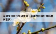 天津今日限行号码查询（天津今日限行号码查询官网）