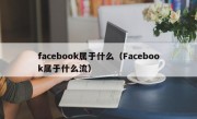 facebook属于什么（Facebook属于什么流）